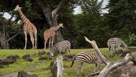 Zoologická zahrada Liberec